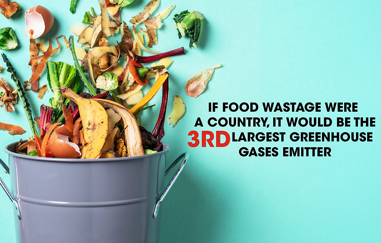 Global Food Ecosystem Impacts on Climate Change